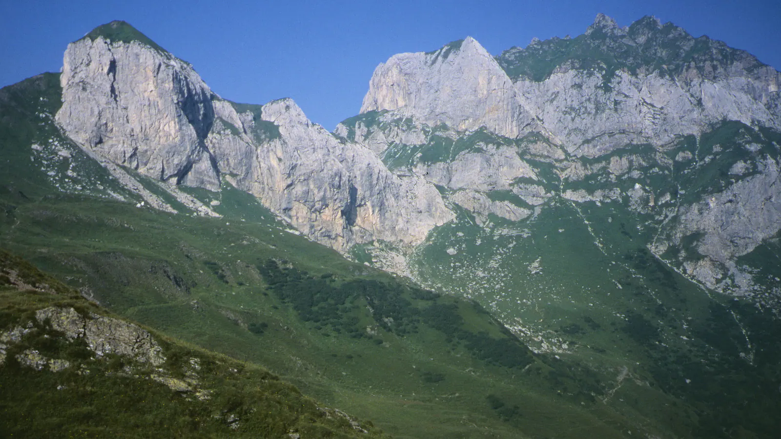 Der Monte Peralba (Hochweißstein) in den Karnischen Alpen: helle Kalkwände über einem Tal aus Weiden und Schutthalden, auf einem Foto von 1995.